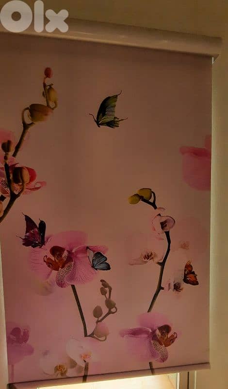Roll ups curtains 3