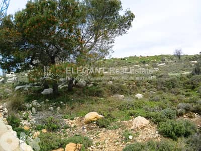 Beautiful Land | Panoramic View | Green Neighborhood