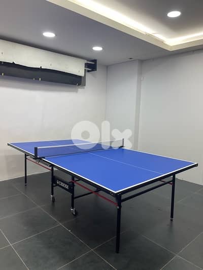 Ping Pong Indoor Chiodi +2 free rackets