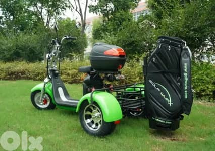 3Plus 3000w/60v Fat Tire Lithium