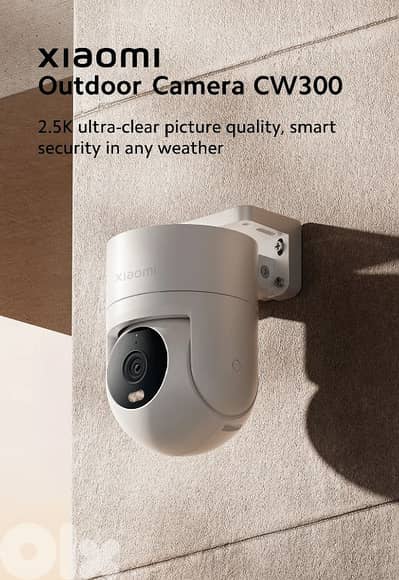 8I-539225 Xiaomi Outdoor CW300