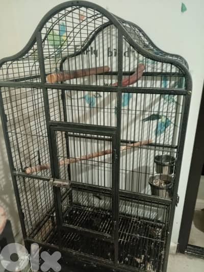 big cage for parrot