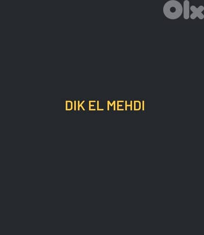 Dik El Mehdi deluxe 125 sqm + 25 sqm Garden