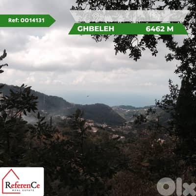 Land in Ghbeleh for sale أرض للبيع في غبالة