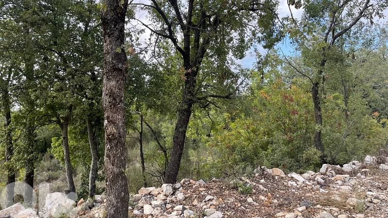 Land for sale in Aannaya- jbeil / ارض للبيع في عنايا جبيل 4