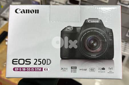 Canon Camera EOS 250D EF-S 18-55 IS STM Kit