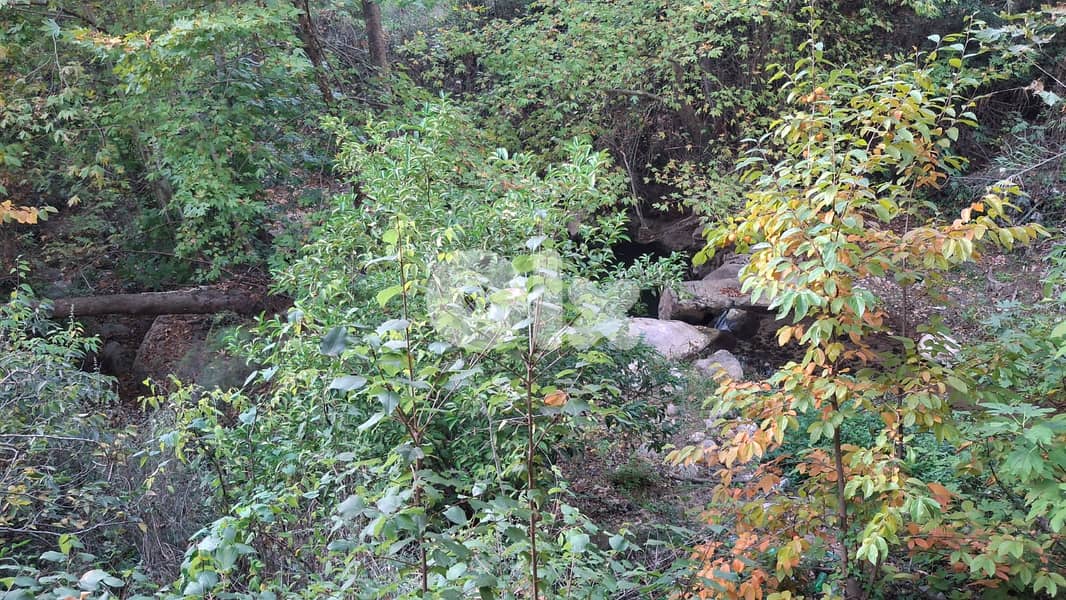 Land for sale in Torza Becharri -أرض للبيع في تورزا – بشري 1