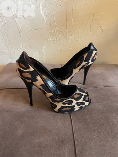 Giuseppe zanotti