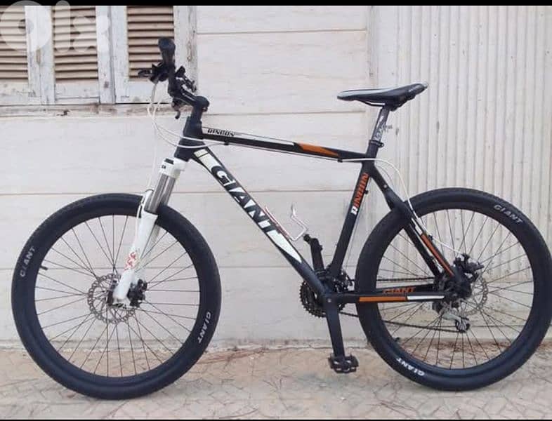 Giant Rincon 1
