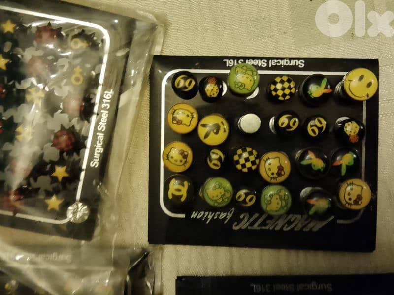 magnetic earings 1
