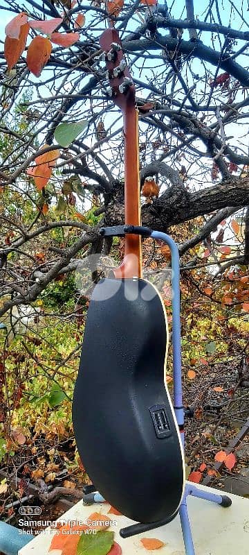 Electro Acoustic 6
