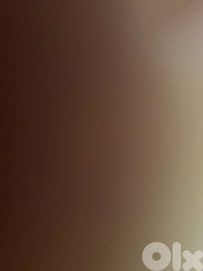03036166