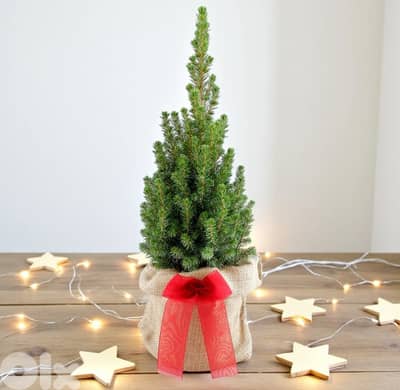 Mini Christmas Tree