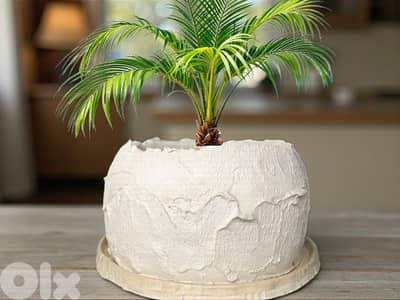 Concrete pot