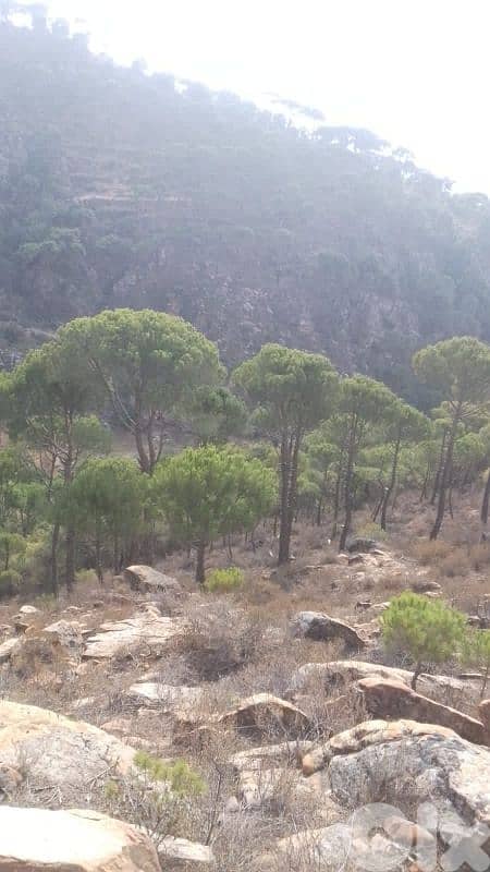 ارض للبيع في حاصبيا الكفير land for sale in hasbaya 1