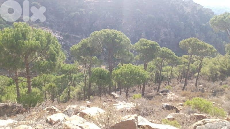ارض للبيع في حاصبيا الكفير land for sale in hasbaya 5