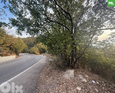 direct road access and a strategic location, kfardebian REF#ML128604