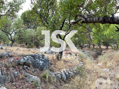 L19732 - Beautiful Land For Sale in Chikhane, Jbeil