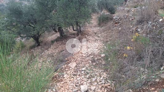 Land for sale in Barhalioun - أرض للبيع في برحليون