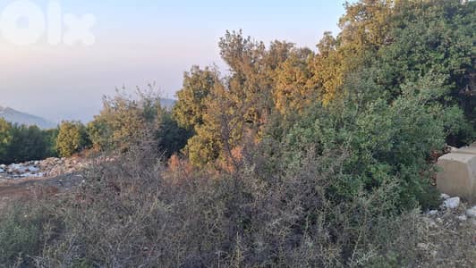 Land for sale in Barhalioun - أرض للبيع في برحليون