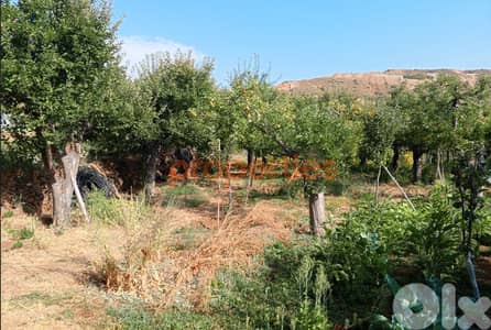 Land for Sale in Zaarour – CPSM415