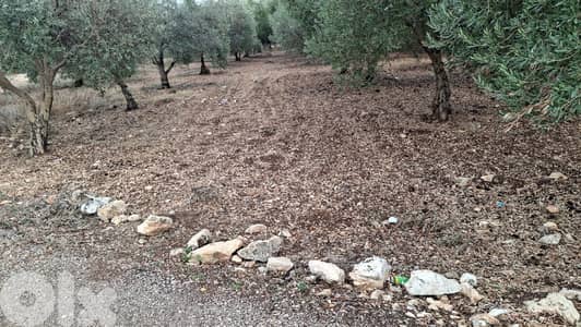 GMN153CM - Land for sale in Bziza-Koura - أرض للبيع في بزيزا - الكورة