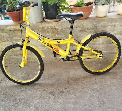 bicycle