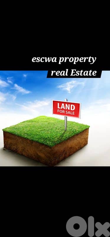 land for sale in jdaide أرض للبيع في الجديده