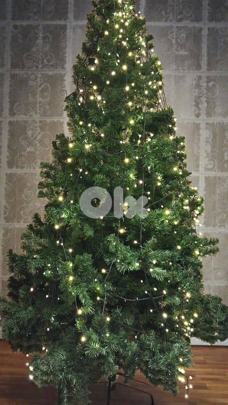 christmas 1