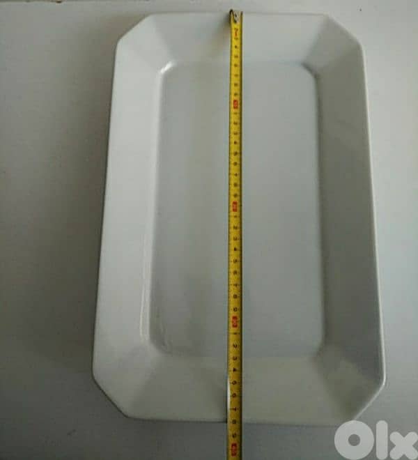 Two large plates - Not Negotiable 3