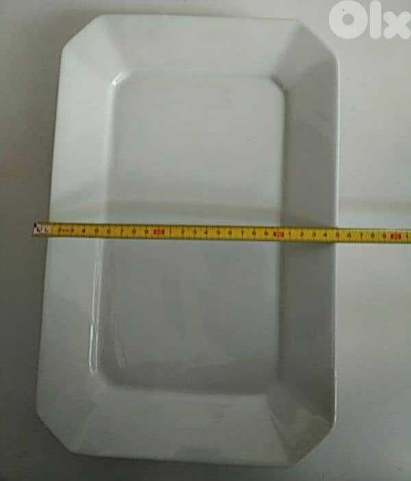 Two large plates - Not Negotiable 4