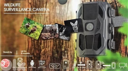 wildlife camera