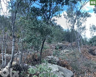 Hot Deal for Investors & Developers - Adonis – Jbeil REF#RS130048