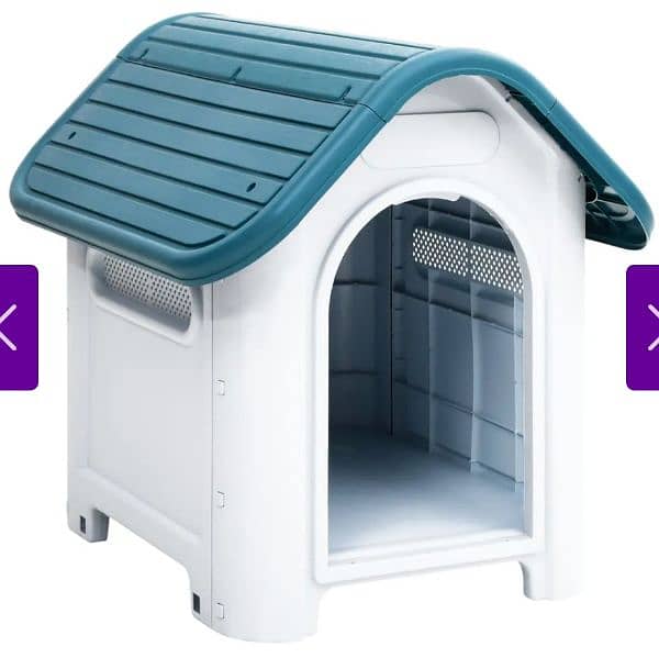 house for dogs 1