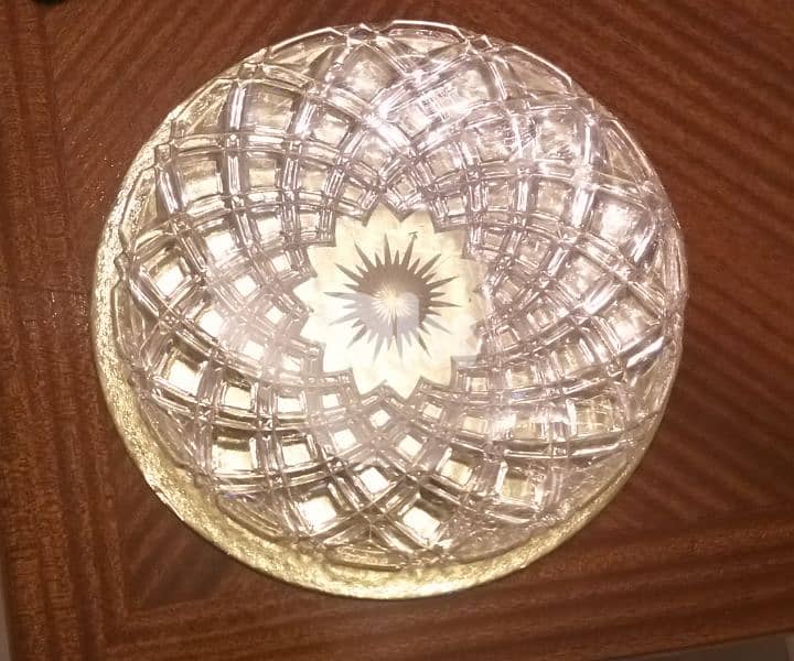 A rare model serving Plate 3