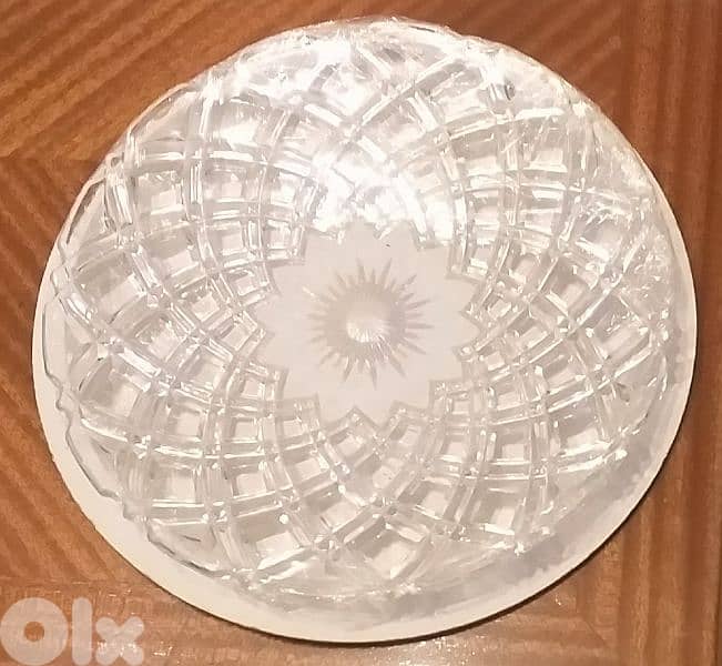 A rare model serving Plate 4