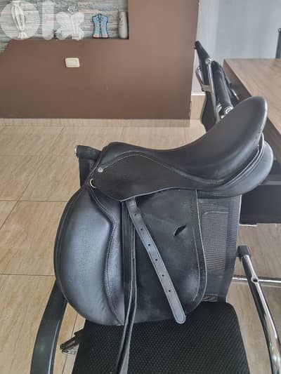 عدة ركوب وعناية بالخيل horse equipment
