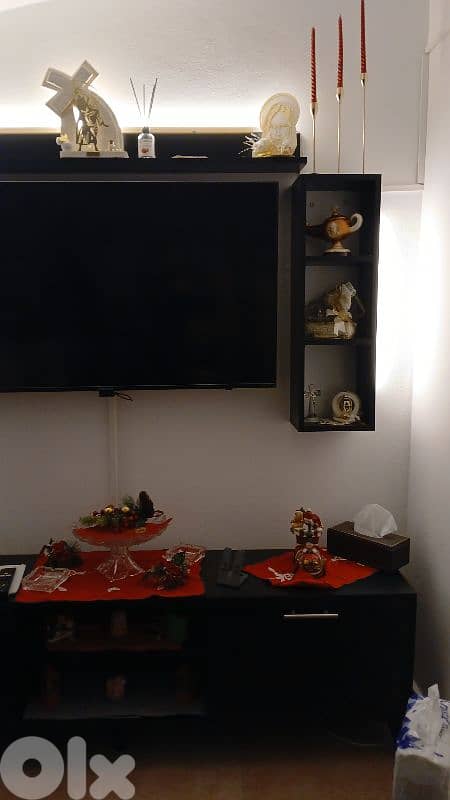 salon+tv unit 4