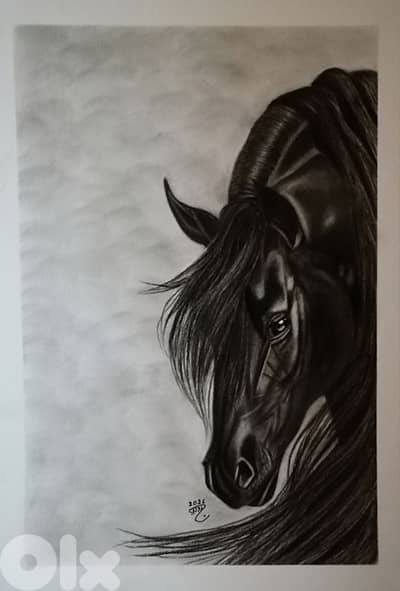horse charcoal drawing. لوحة رسمة حصان فحم