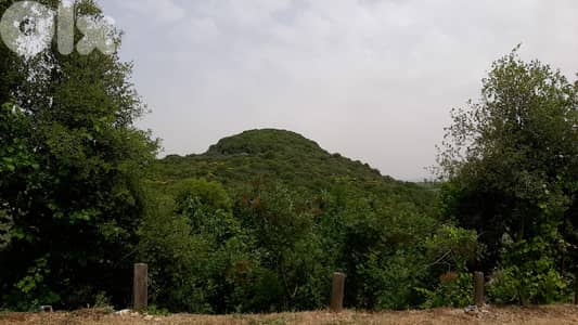 GMB129 Land With an old House For Sale In Kfifan أرض مع منزل