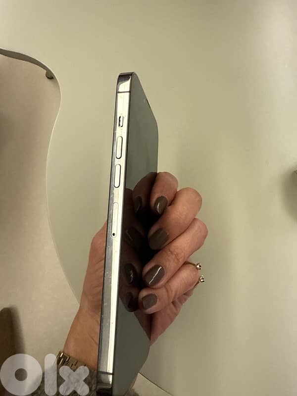 iPhone 13pro Max 3