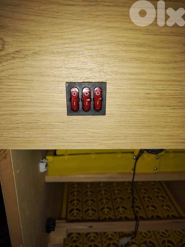 incubators فقاسة اوتوماتيك 10