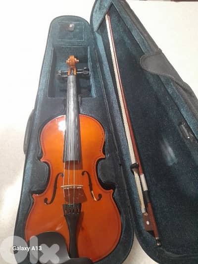 violin