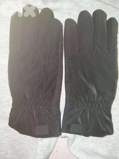 gloves