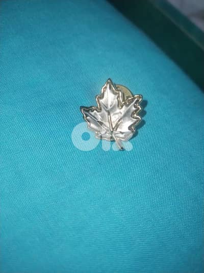 vintage canada pin