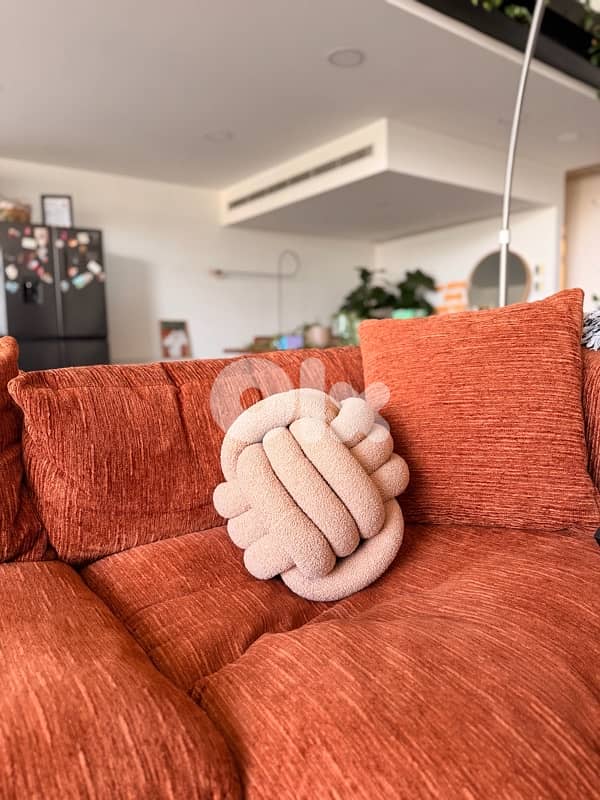 cushion 1