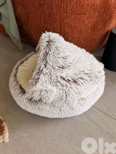bed for cats