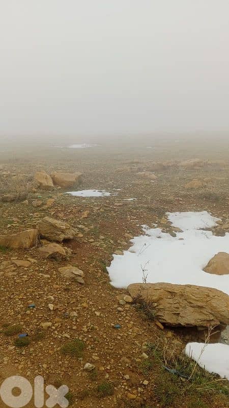 أرض للبيع في عين داره عاليه land for sale in aley 1