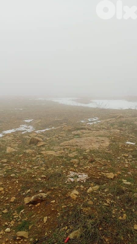 أرض للبيع في عين داره عاليه land for sale in aley 7