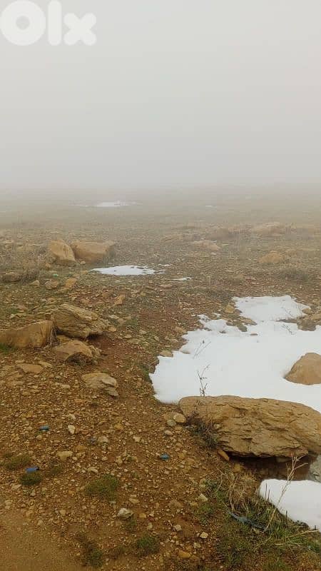 أرض للبيع في عين داره عاليه land for sale in aley 8